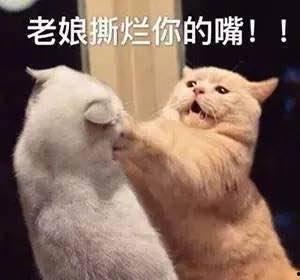 娱乐吃瓜君被骂,网络素养何在？  第3张